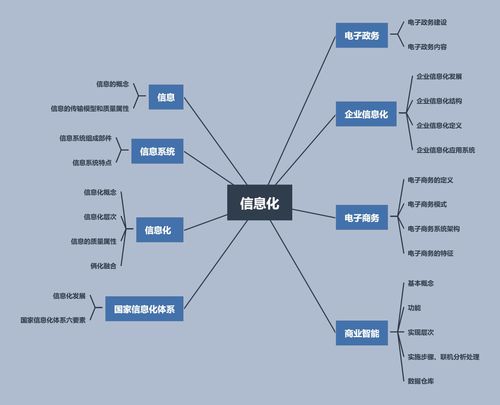 信息系統(tǒng)集成專業(yè)技術知識 開發(fā)基礎與集成服務